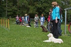 Ferienpassaktion in der Hundeschule