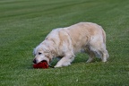 Ilea mit Dummy