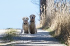 Ilea und Xavi