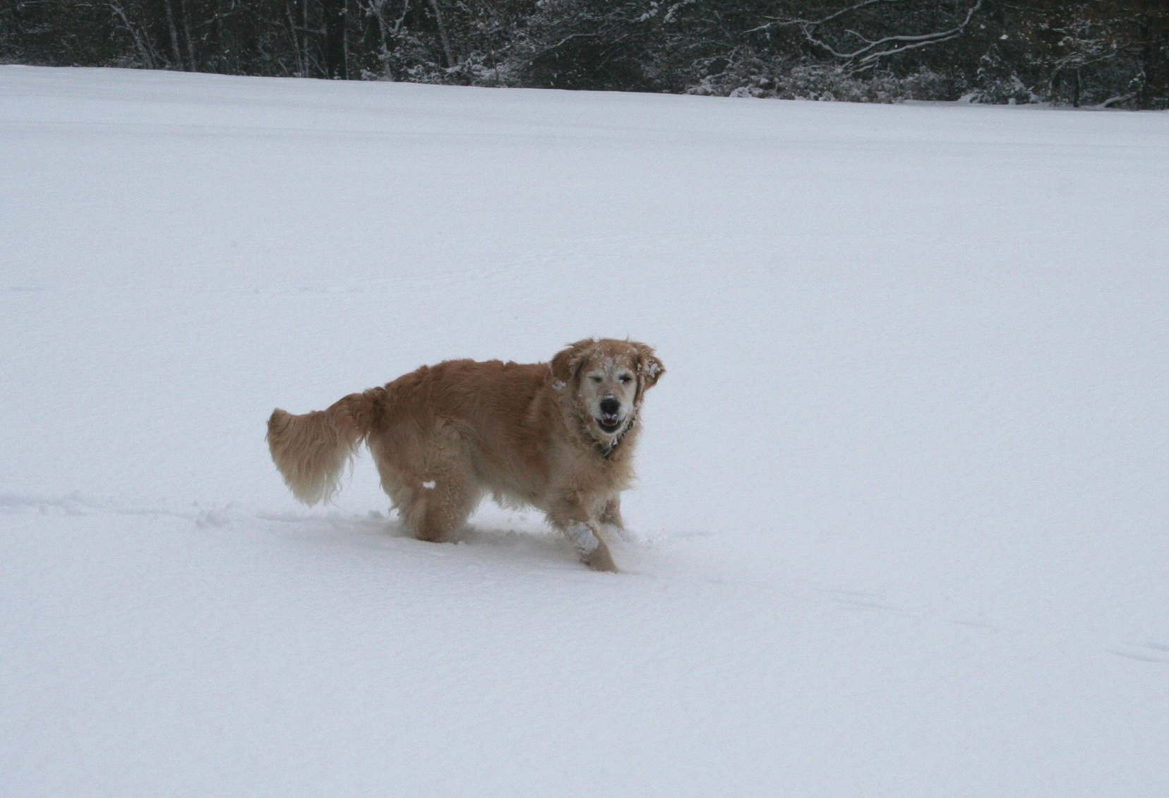 2006 02 12 Kasing  IMG_0424.JPG