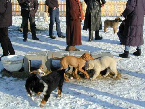 bild30.jpg