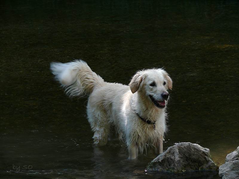 2008 08 13 P1010351.jpg