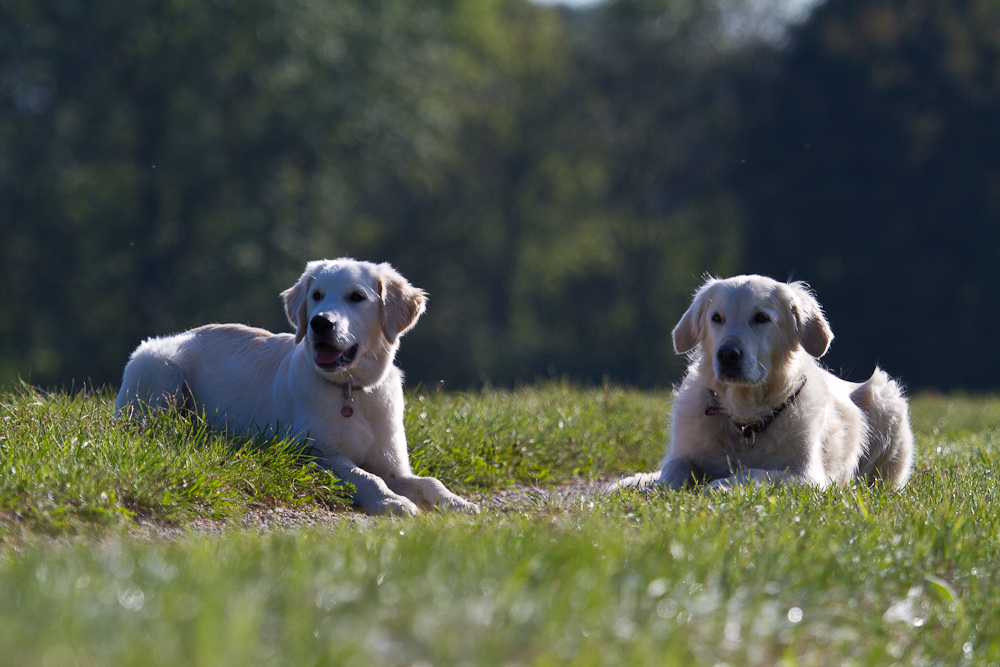2011_09_16_Canon EOS 7D_IMG_5327_WEB.jpg