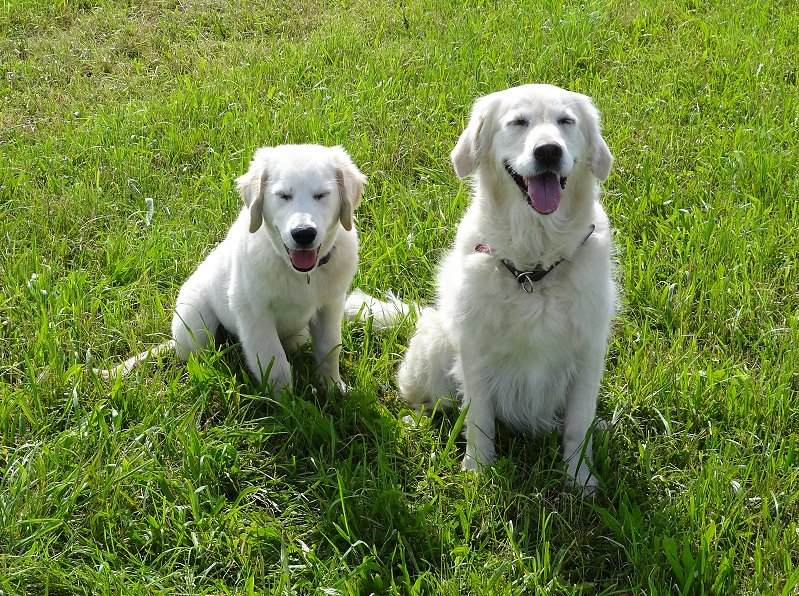 2011 08 06 DSC01272.jpg