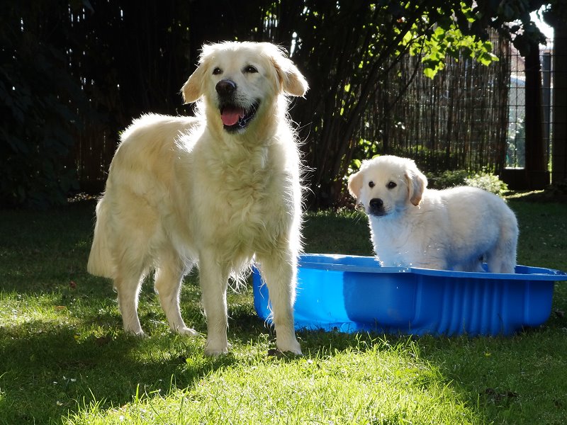 2011 06 27  DSC00816.jpg