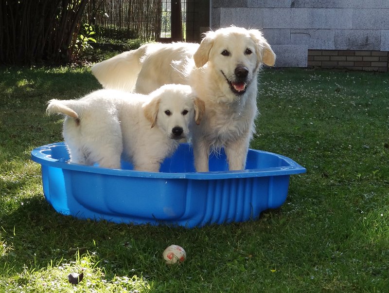 2011 06 27 DSC00819.jpg