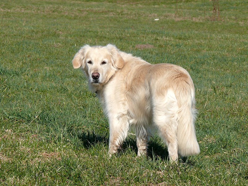 2011 03 24 P1110245.jpg