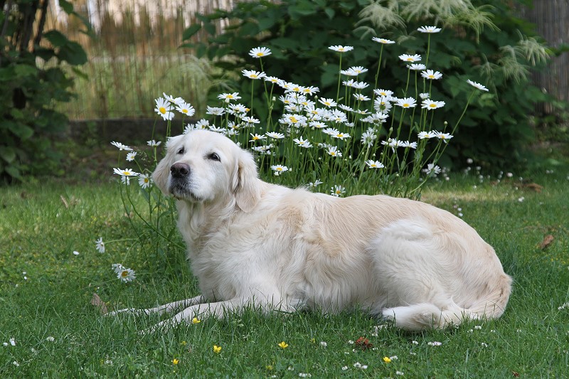 2012 05 27 Ilea _IMG_3233.jpg