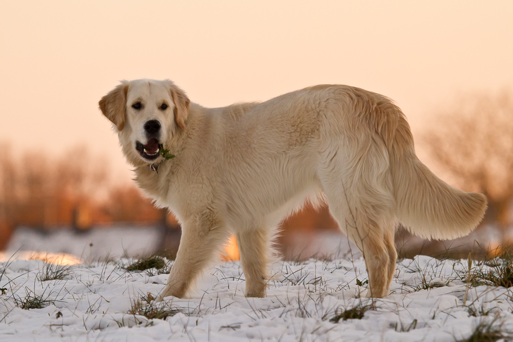 2012_02_05_Canon EOS 7D_IMG_7506_WEB.jpg