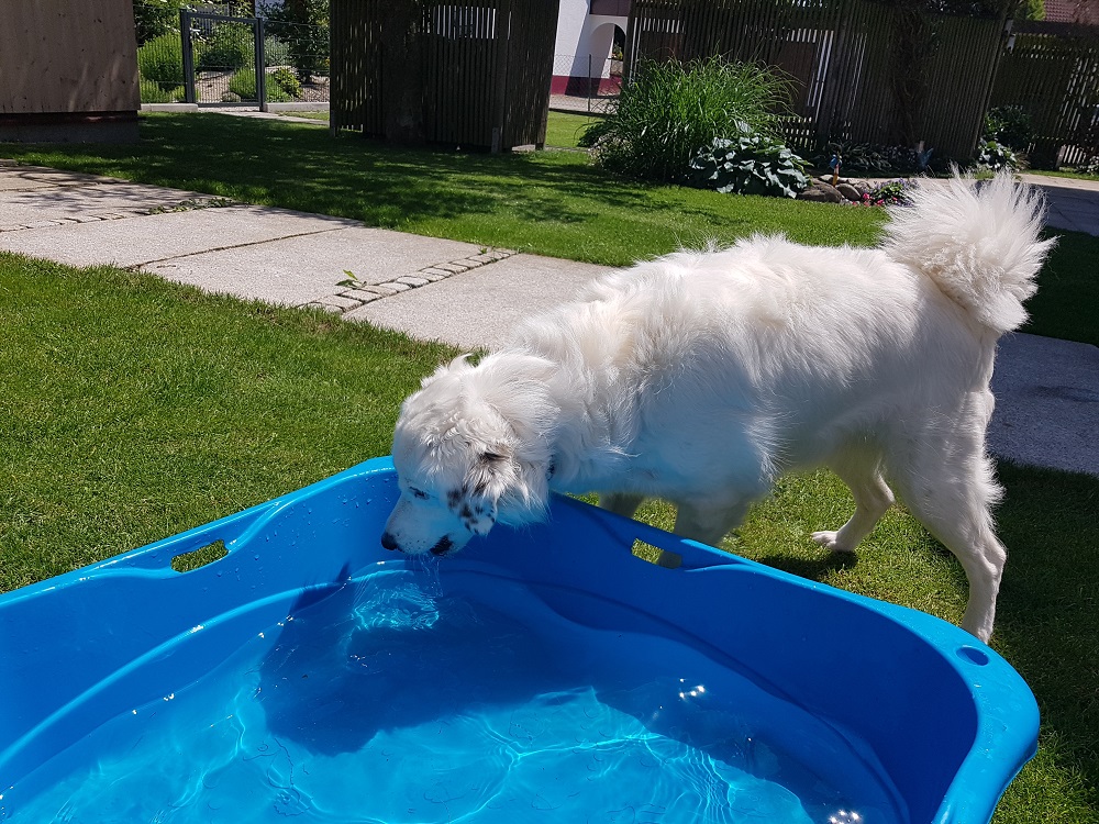 2018 05 28 _141614.jpg